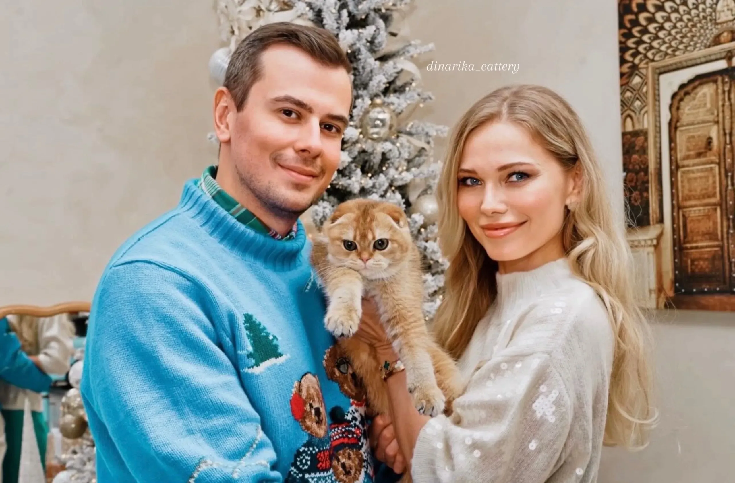 Новогодняя фотосессия семьи с британским котенком | Питомник Екатеринбург