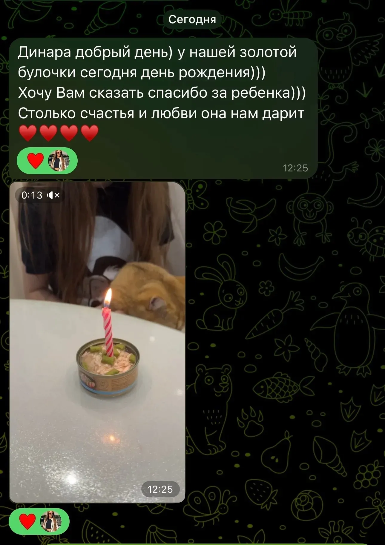 Отзыв о дне рождения золотистой британской кошки | Питомник Екатеринбург