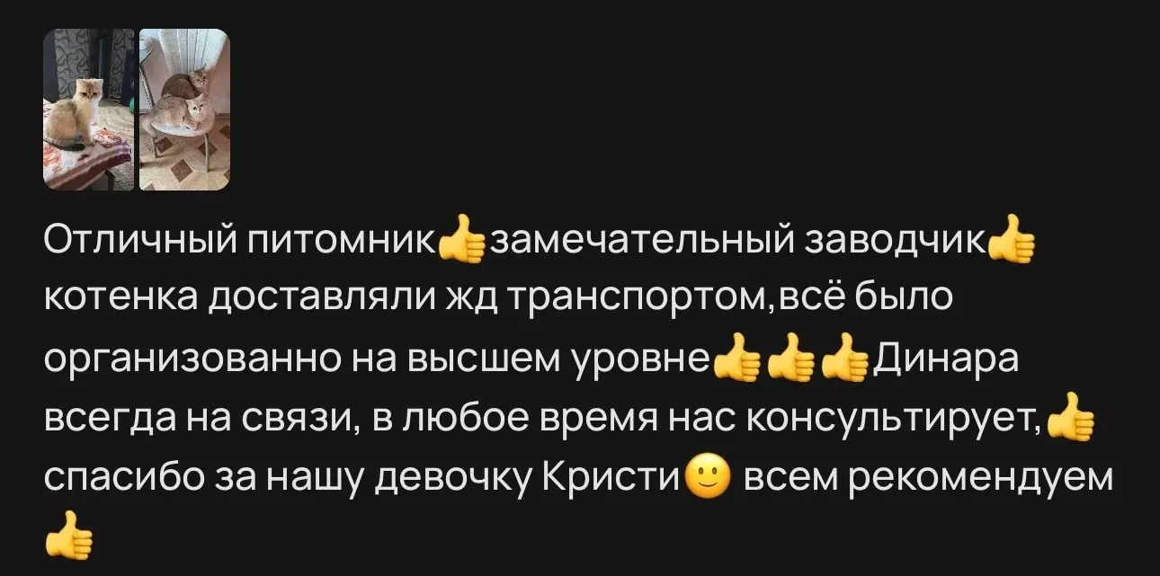 д транспортом | Питомник Екатеринбург
