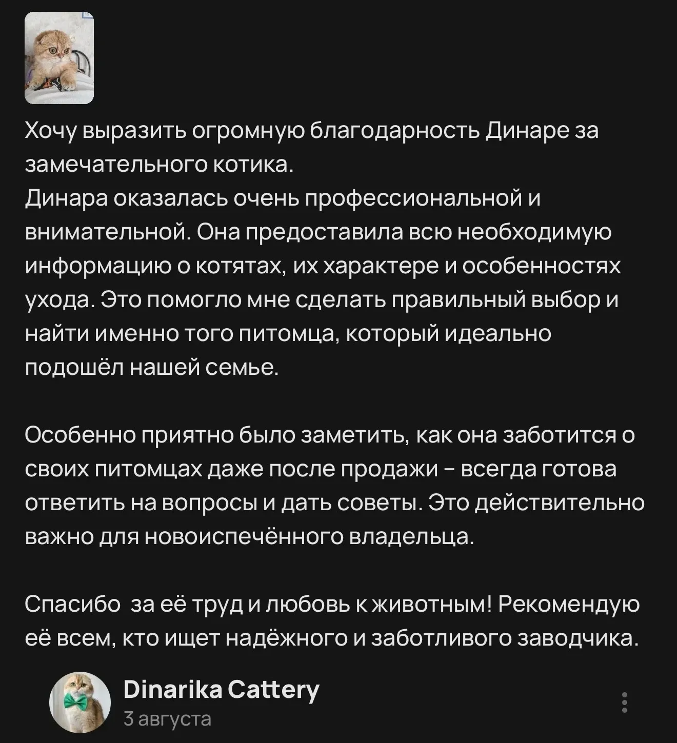 Отзыв о профессиональном заводчике и заботе о котике | Питомник Екатеринбург