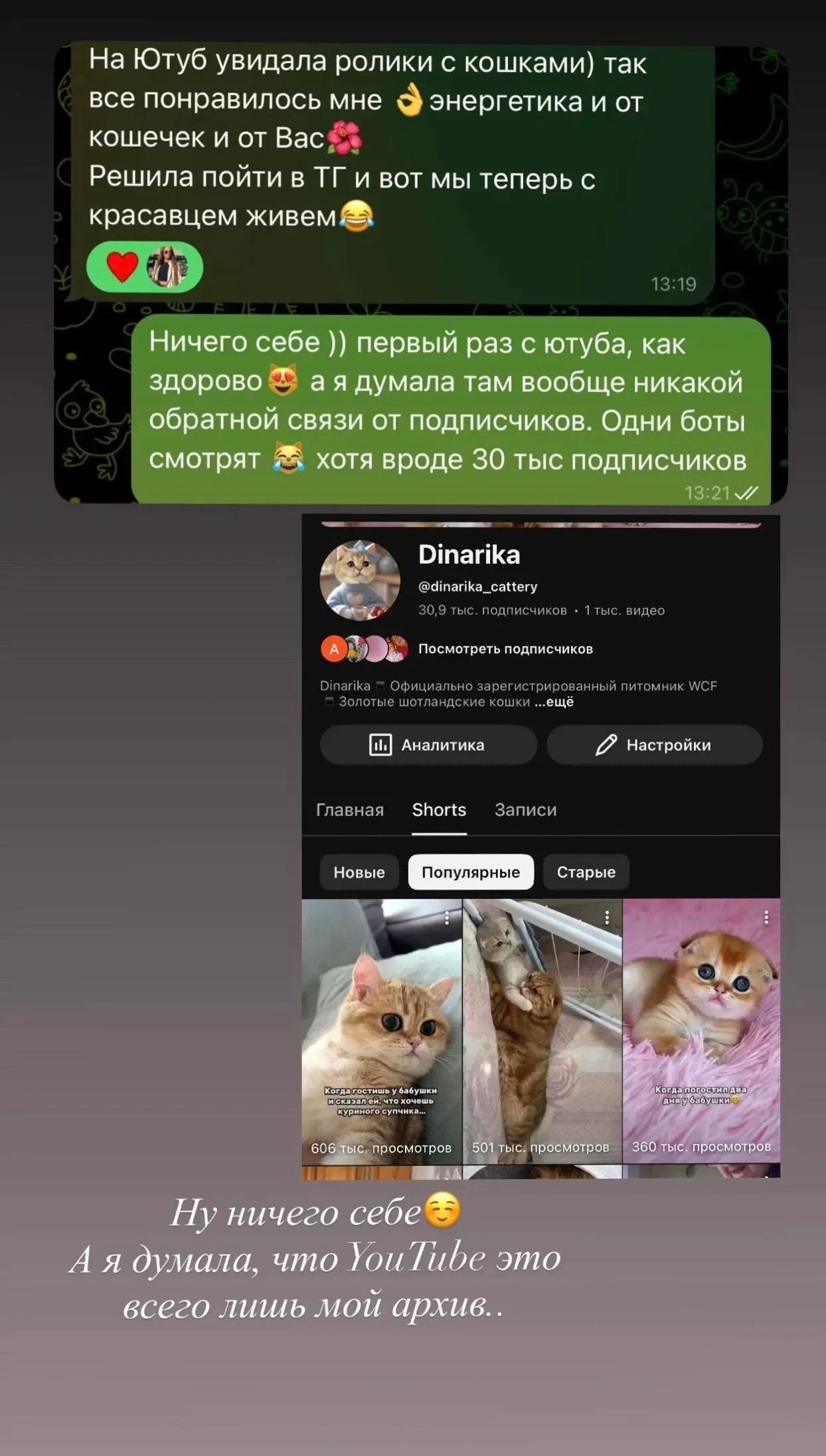 Отзыв покупателя и рост YouTube-канала питомника | Питомник Екатеринбург