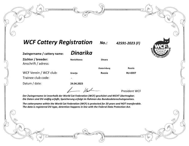 Официальный сертификат WCF о регистрации питомника Dinarika в Екатеринбурге на имя Новиковой Динары.