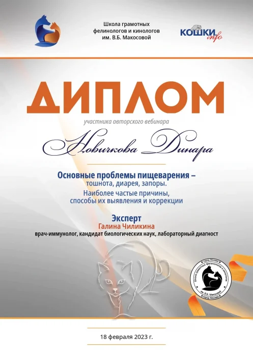 Диплом о прохождении вебинара по проблемам пищеварения и коррекции у кошек на имя Новиковой Динары. Питомник Екатеринбург.